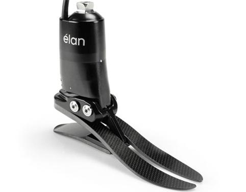 Elan Microprocessor Foot Elan Microprocessor Foot